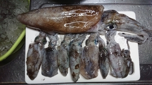20190904122350513.jpg