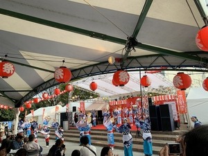 IMG_6712.jpg