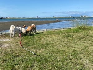 image1.jpeg